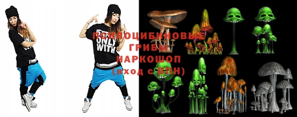 a pvp Аркадак