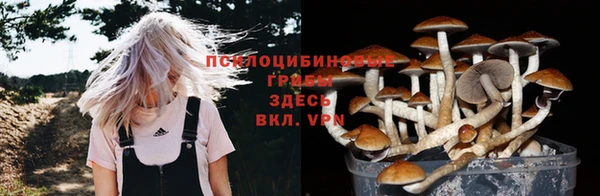 a pvp Аркадак