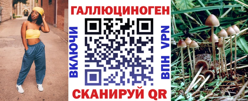 Псилоцибиновые грибы прущие грибы  где найти   Партизанск 