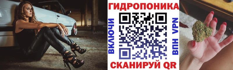 Шишки марихуана White Widow  закладка  Партизанск 